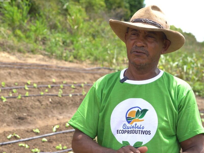 Suape Entrega Mais Quintais Ecoprodutivos A Fam Lias Em