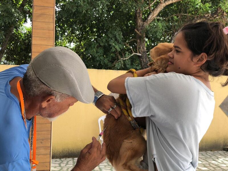 Paulista na RMR vacina cães e gatos no ParCão de Maranguape I nesta