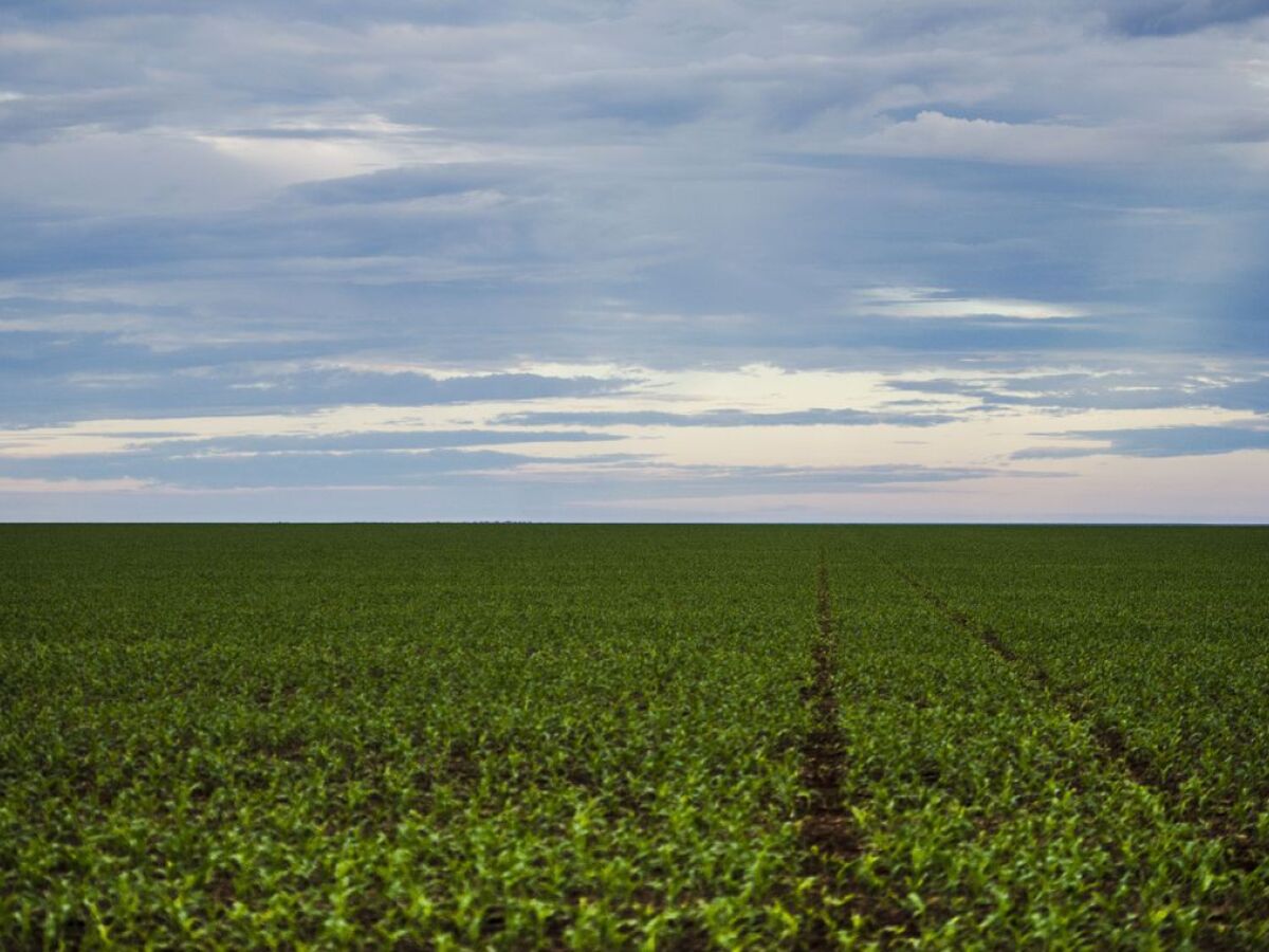 Cresce número de agricultores com acesso ao seguro rural