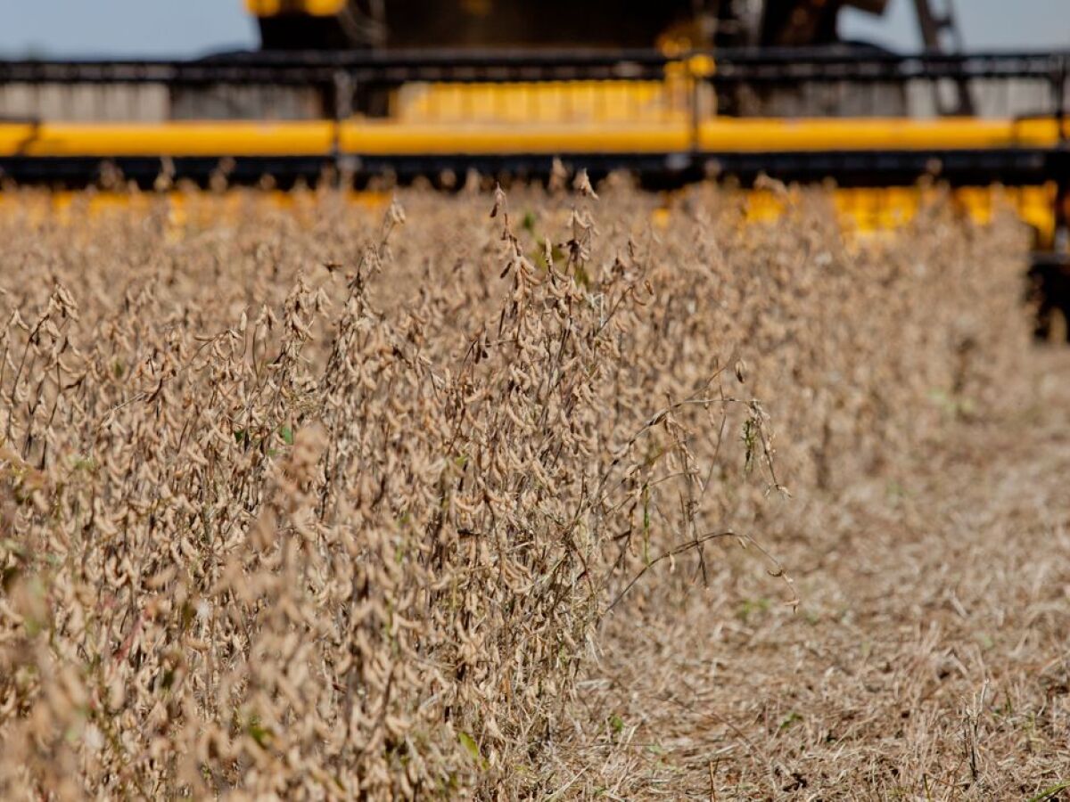 Atividade econômica inicia 2º tri com desempenho melhor que o esperado,  mostra prévia do PIB