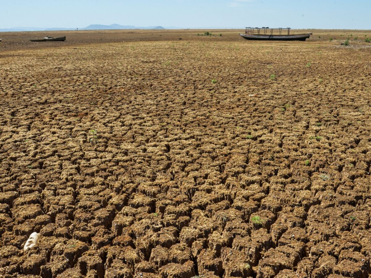 Governo Federal reconhece situação de emergência por estiagem em mais 54 cidades de Pernambuco - Folha PE