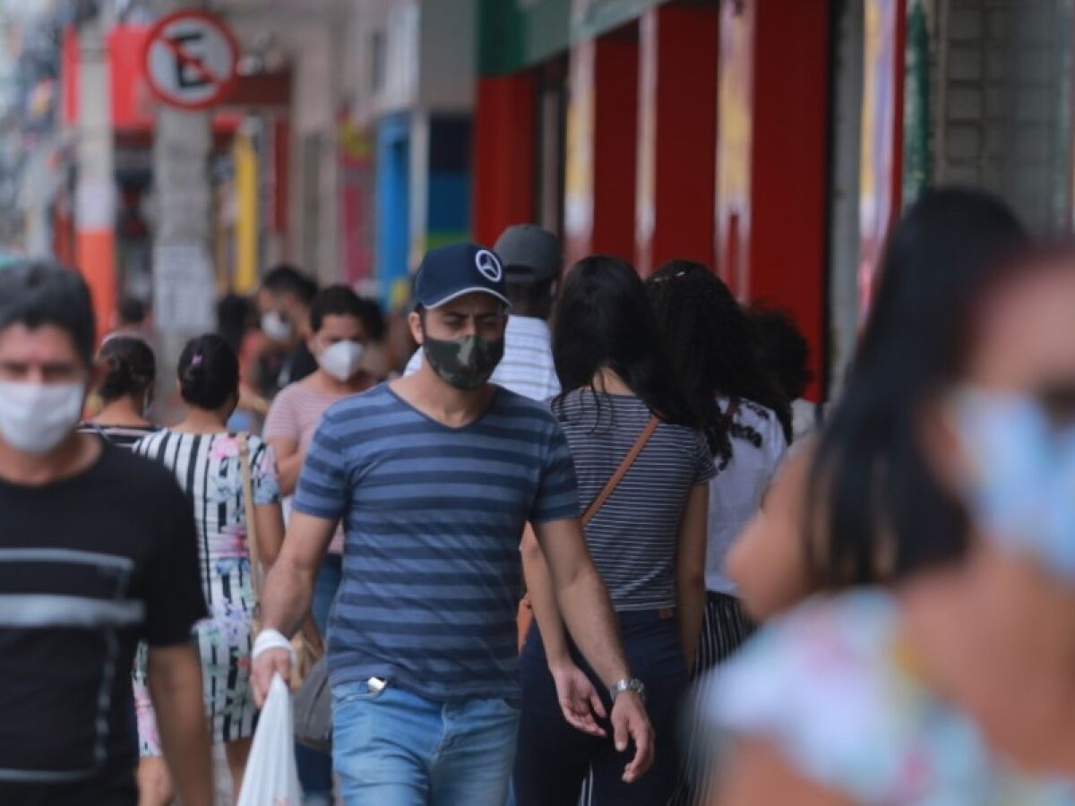 Pandemia e isolamento aumentam procura por cultivo de plantas em casa