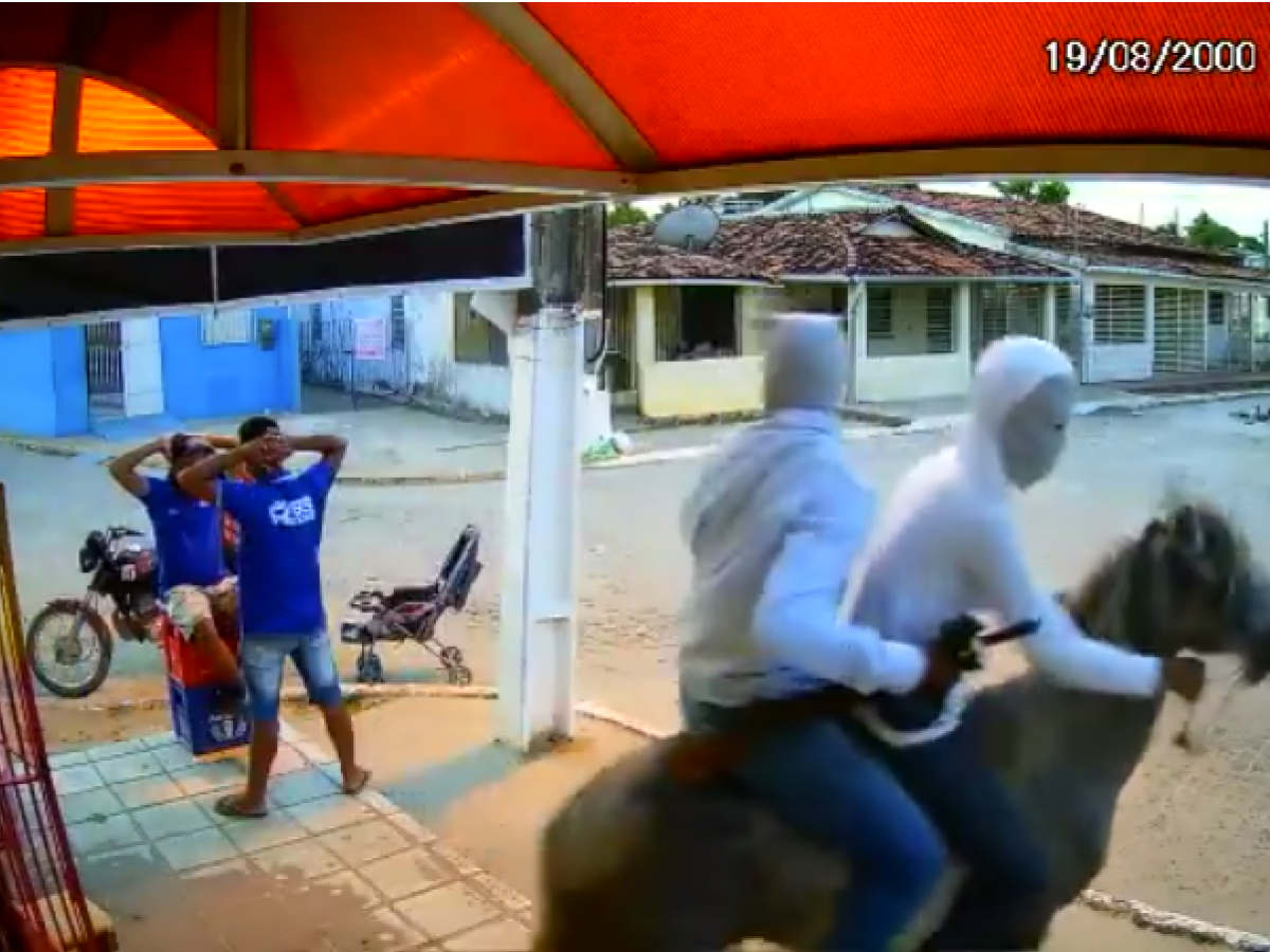 Polícia do Pernambuco prende homens matando cavalo pra vender na feira -  Jornal Tribuna Ribeirão