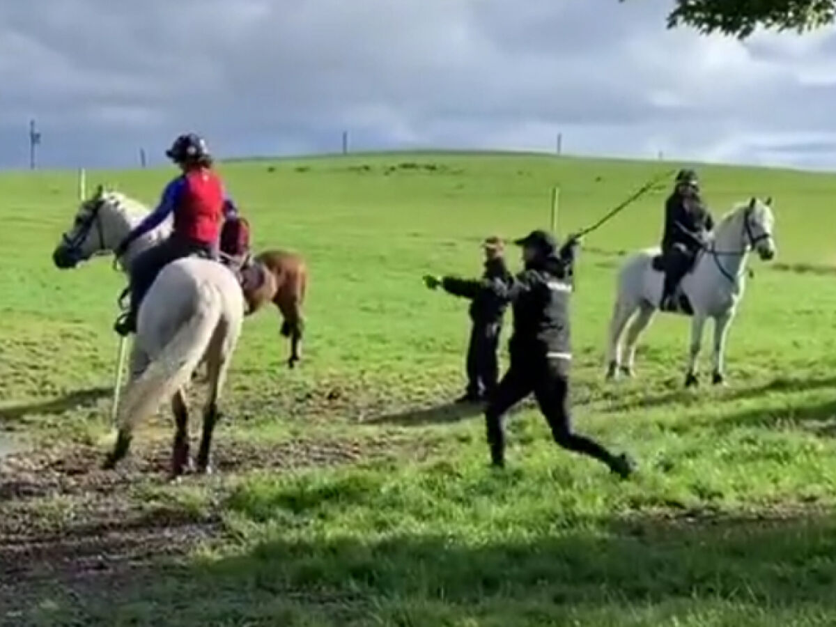 Cavalo sofre lesão durante prova dos Jogos Olímpicos e é