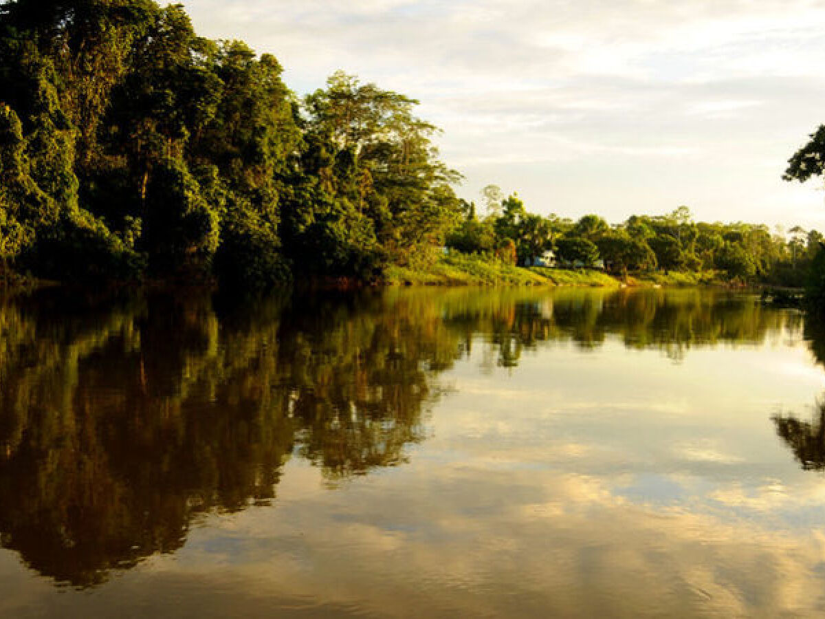 Folha do Acre, Notícias do Acre, Jornal do Acre, Folha do Acre, Polícia,  Política, Rio Branco, Amazônia