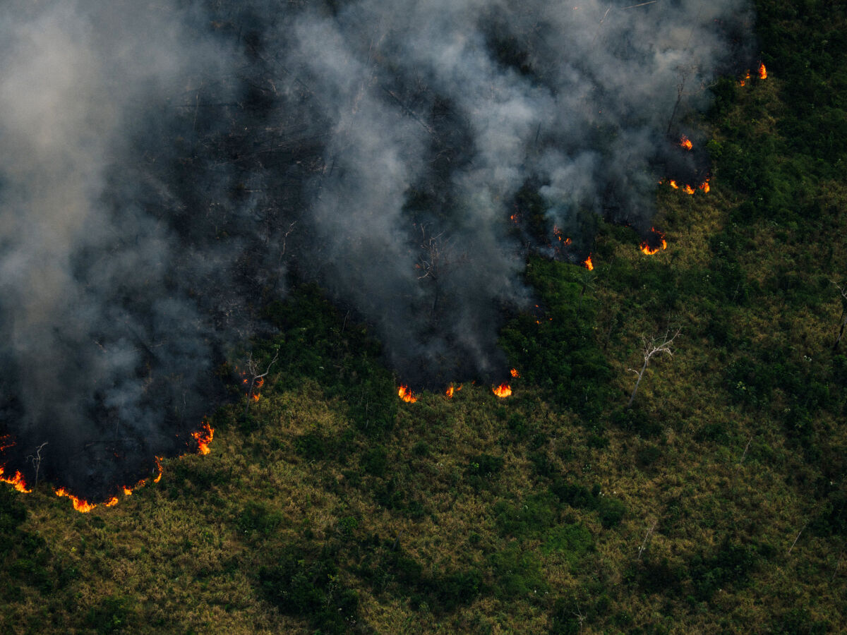 Crise climática: seca severa na Amazônia é agravada por desmatamento e fogo