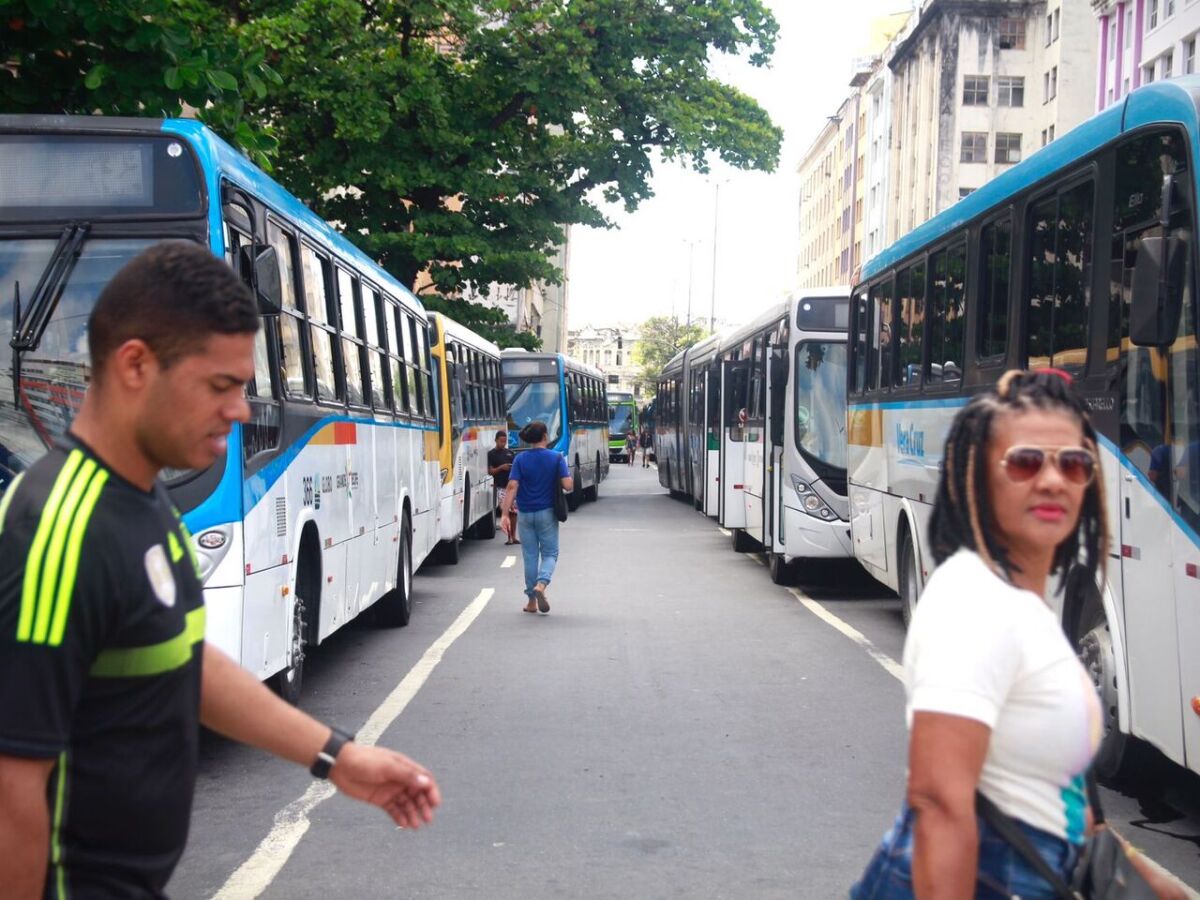 Recife reúne os melhores enxadristas do Brasil a partir desta quinta-feira  (15) - Folha PE