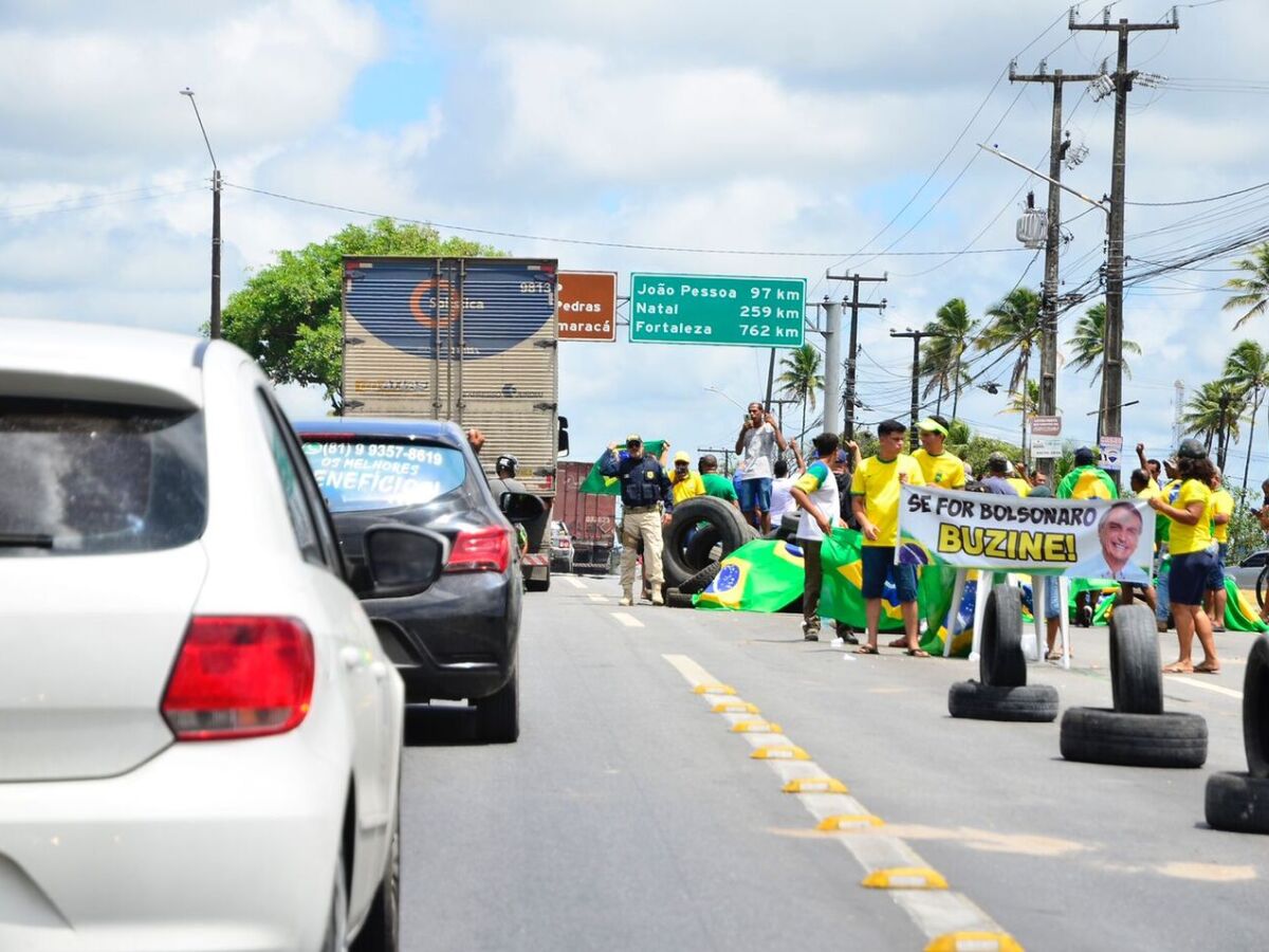 PRF recolhe 23 cavalos abandonados em rodovias do Recife e Zona da Mata de  Pernambuco - Folha PE