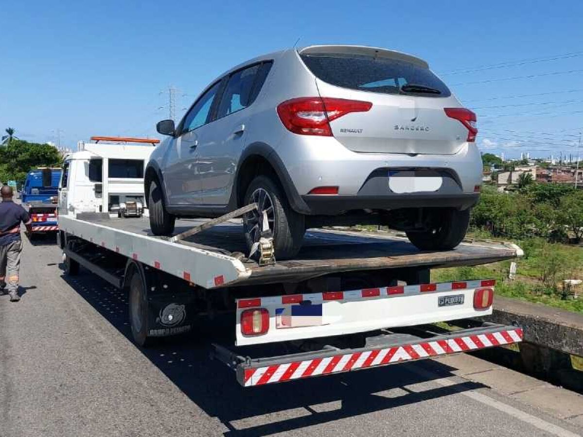 PRF recolhe 23 cavalos abandonados em rodovias do Recife e Zona da Mata de  Pernambuco - Folha PE