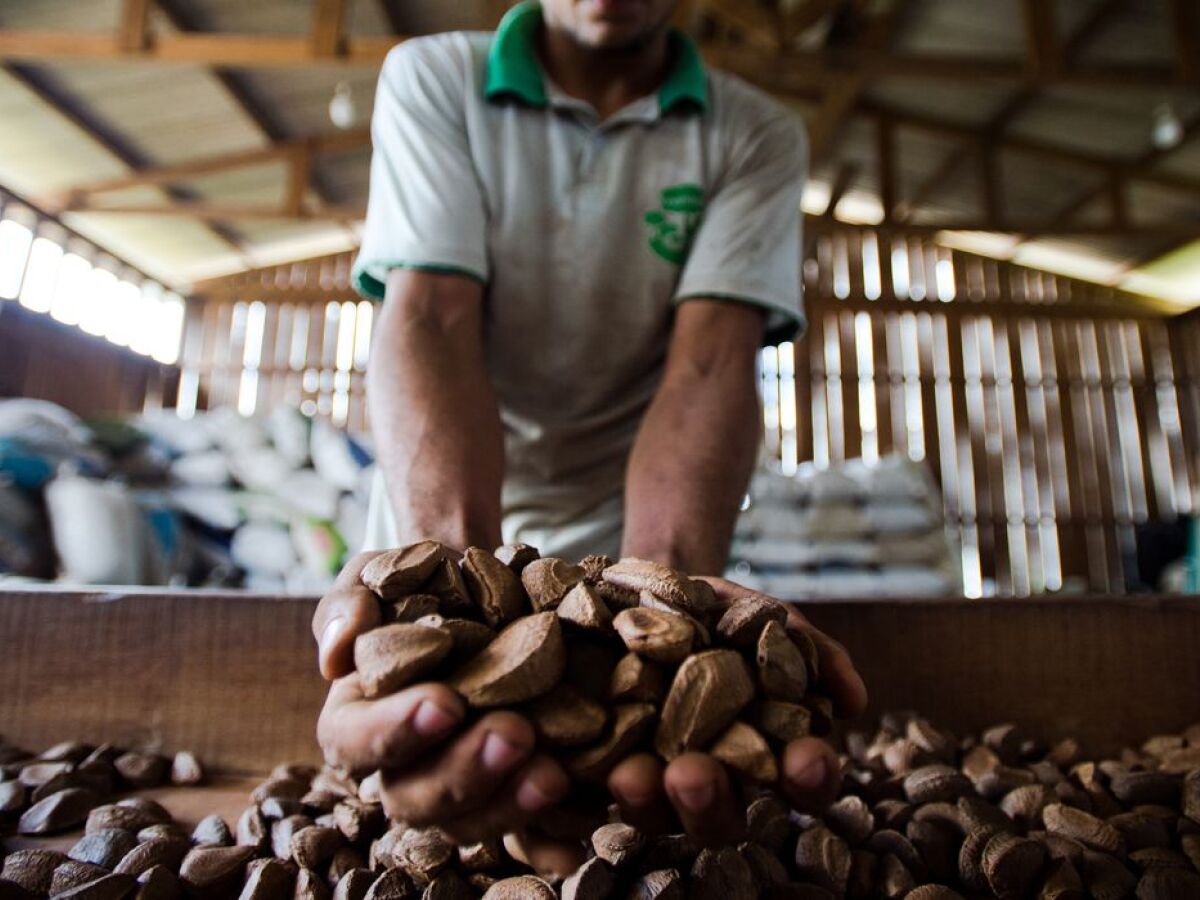 Agricultura manda recolher 16 marcas de cafés impróprios para consumo -  Folha PE