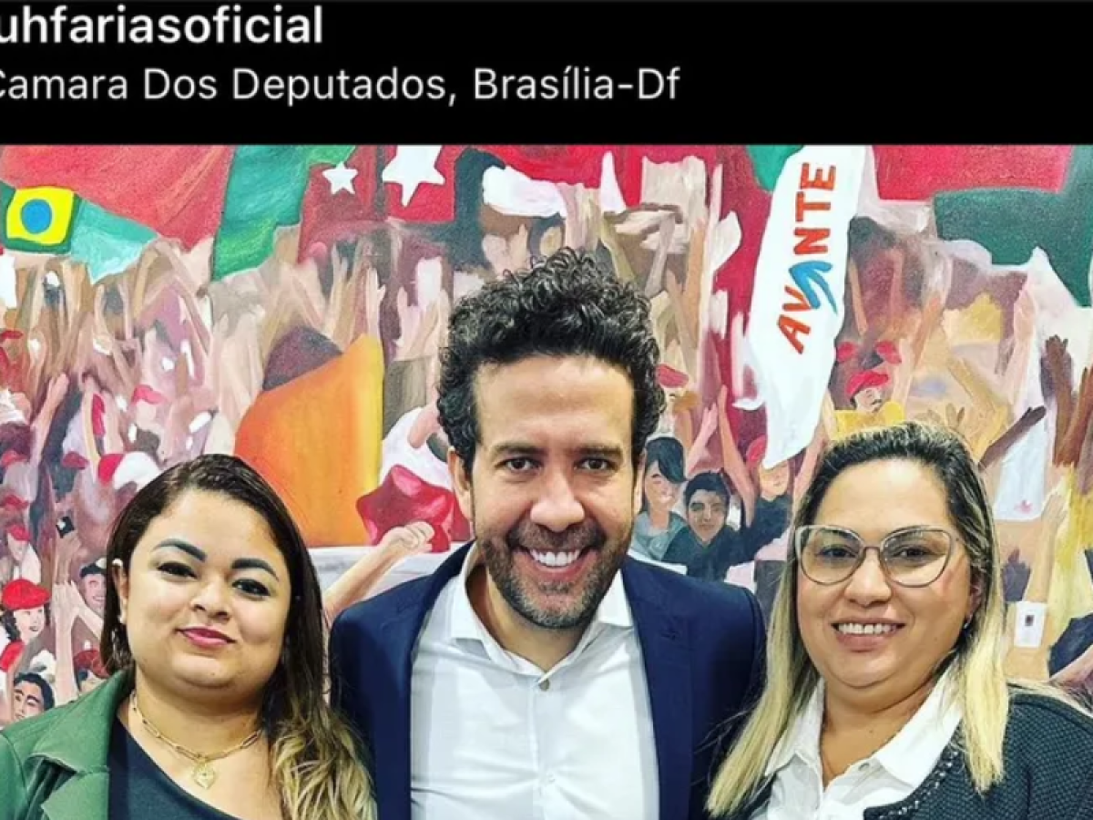 Dino pede ao STF que investigue parlamentares por divulgação de fake news