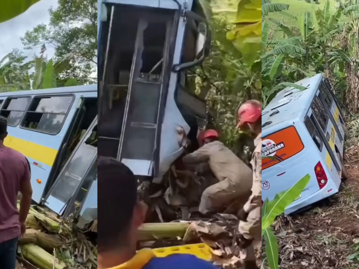 Ônibus escolar cai em ribanceira em Macaparana, na Mata Norte; médicos  atendem quase 20 passageiros - Folha PE