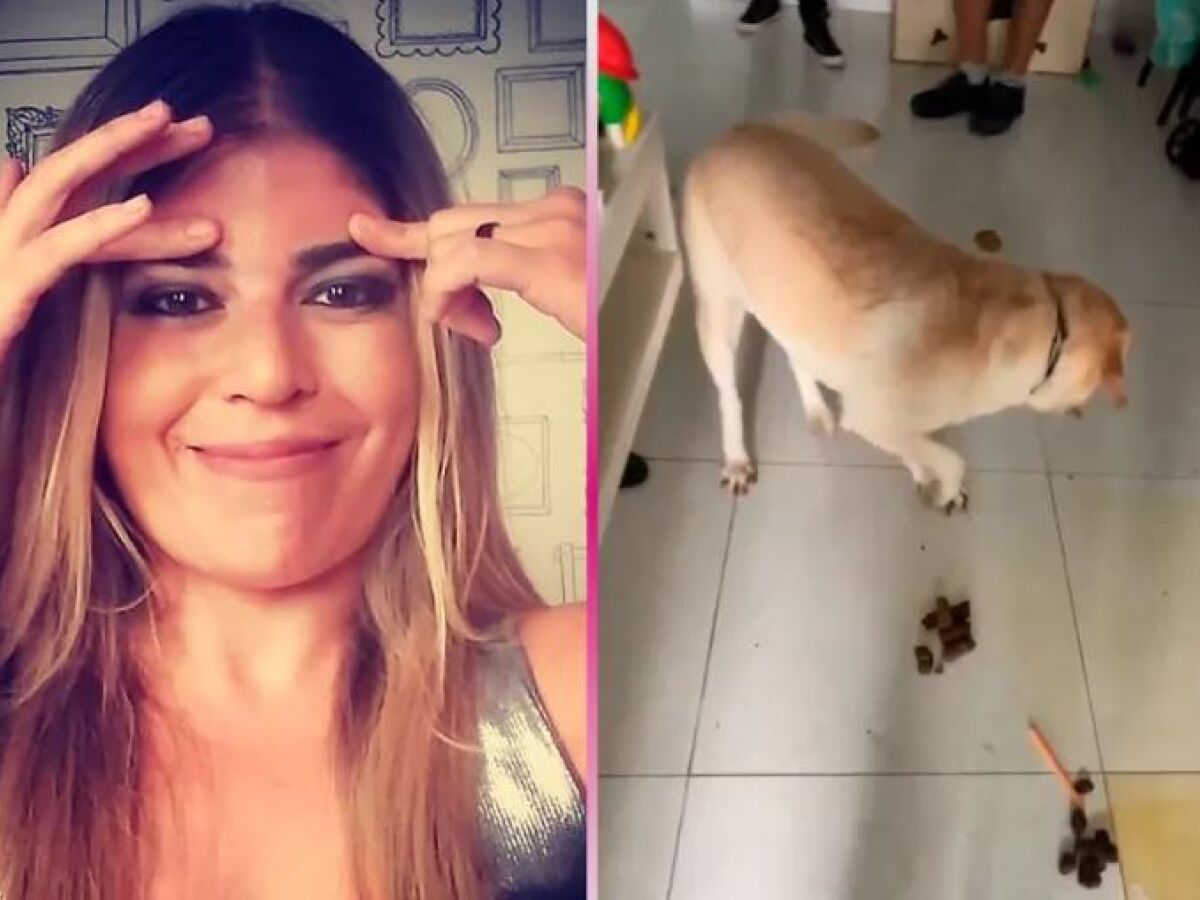 Bruna Surfistinha é indiciada por maus-tratos a animais - Folha PE