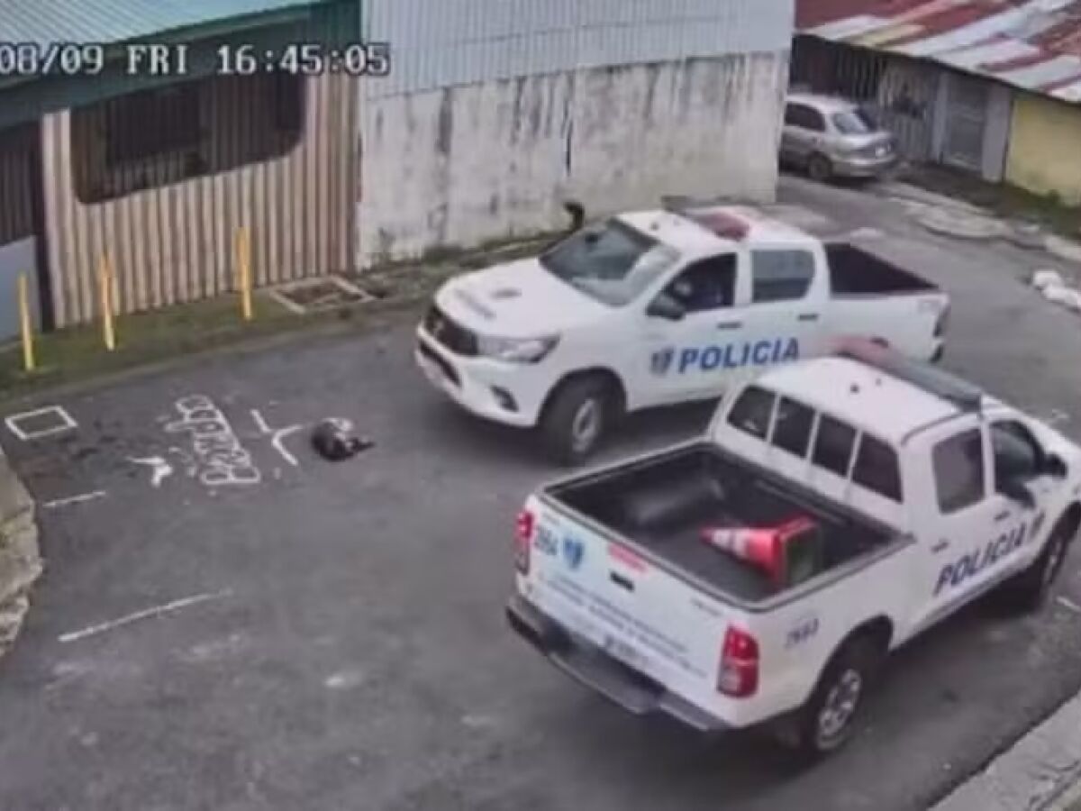 Câmeras de segurança capturaram imagens das viaturas da polícia na Costa Rica passando por cima de um cachorro 