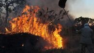 Artistas assinam carta em defesa do Pantanal e criticam política ambiental de Bolsonaro