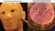 Japão cria robô inédito com rosto carnudo e sorriso humano