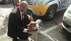 Vereador leva cachorro para cerimônia de posse