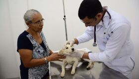 Hospital Veterinário do Recife abre 15 vagas para médicos
