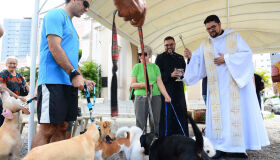 Dia de São Francisco: animais recebem bênçãos em igrejas do Recife e Olinda