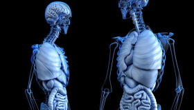 Prática ortomolecular previne diversos tipos de doenças