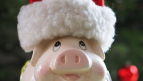 Despesas de final de ano: mantenha seu orçamento equilibrado