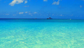 Estratégia do Oceano Azul e Pernambuco