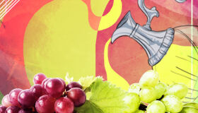 Garrafas de vinho: tipos