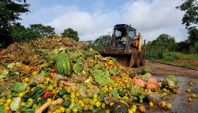 Mais da metade dos brasileiros não pratica o 'consumo consciente'
