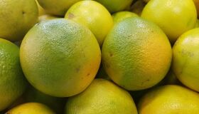 Confira 5 alimentos nutritivos para você consumir no inverno