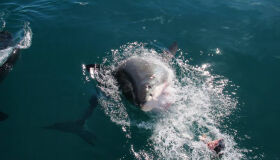 Como chegar e o que fazer em Capitólio: um guia completo