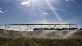 O Momento Econômico Externo Serve de Reforço à Moderação Ideológica