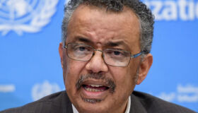 2020, coronavirus e a democracia...