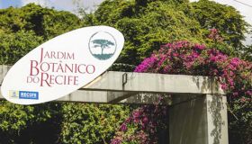 Online: Que tal visitar o Jardim Botânico do Recife?