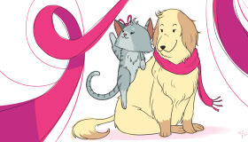 Outubro Rosa Pet: campanha alerta para a prevenção contra o câncer de mama