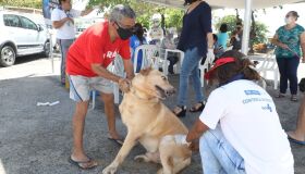 Mais de quatro mil cães e gatos já foram vacinados contra a raiva no Jaboatão dos Guararapes
