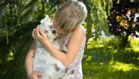 Pessoas alérgicas podem conviver com pets? A resposta é sim