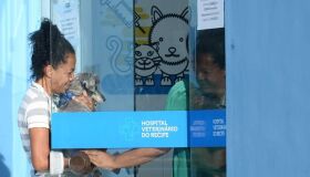 Nesta terça (1º), Hospital Veterinário do Recife abre novo agendamento para castrações