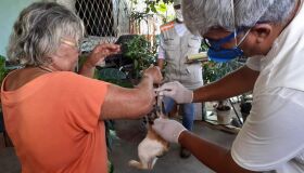 Olinda retoma campanha de vacinação antirrábica para cães e gatos