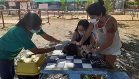 Olinda faz vacinação antirrábica porta a porta em cães e gatos nesta quarta e quinta