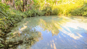 Conheça os impressionantes fervedouros do Jalapão