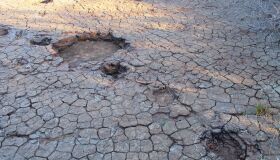 Vale dos Dinossauros: como chegar e o ver neste parque da Paraíba!