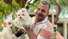 Família reencontra Flor, cadela maltês que havia desaparecido no Recife