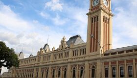 Virtual: 5 atrações de SP para conhecer sem sair do sofá!