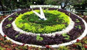 Garanhuns terá corrida em prol da causa animal no próximo dia 25