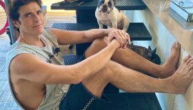 Gianecchini vira tutor de cadela vira-lata e faz postagem incentivando a adoção de animais