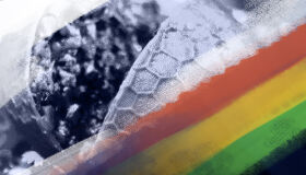 “Devolvam a minha comida pernambucana”