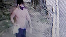 Suspeito de matar gatos no Recife prestará depoimento nesta sexta (19)