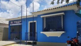 Suspeito de matar gatos no Recife não aparece para prestar depoimento