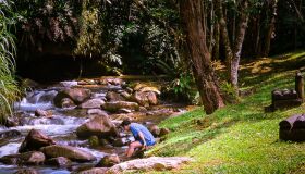 Outono: São Francisco Xavier (SP) atrai turistas que buscam a natureza como refúgio