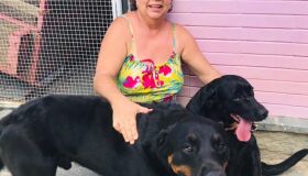 Família recupera cães que fugiram após 'abrirem' portão eletrônico